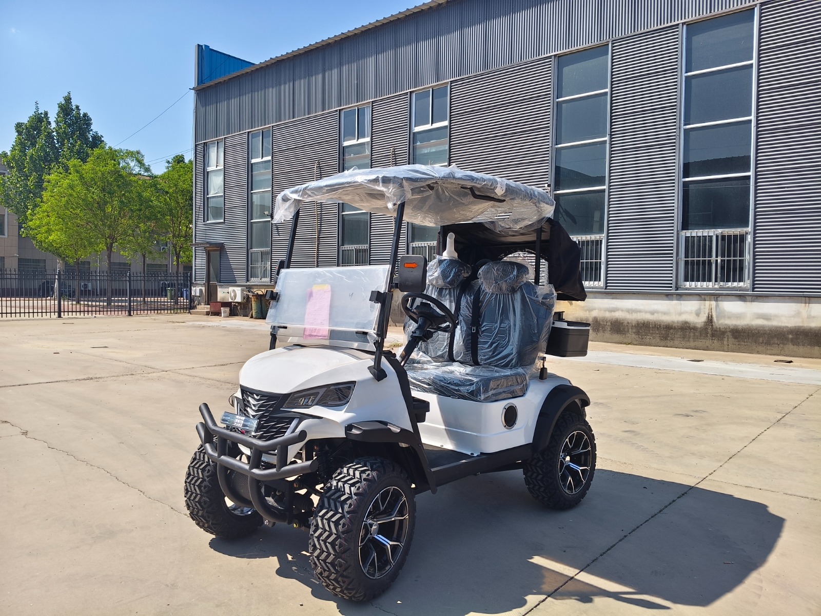 2-Seater Golf Cart – View 1
